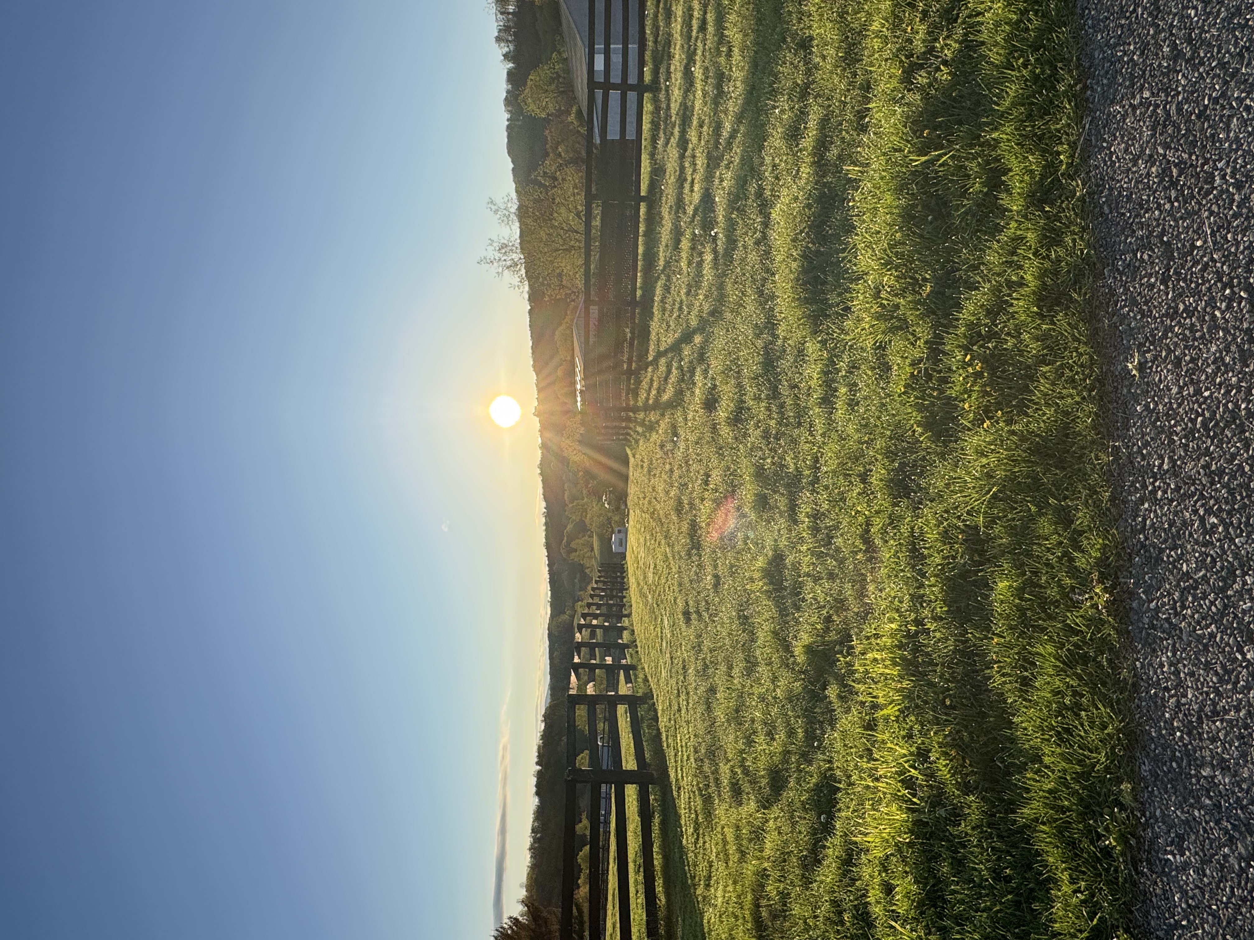 Sunrise over the pastures